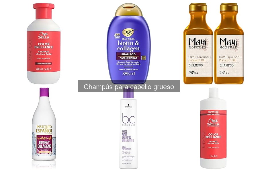 Alternativas a Champús para Cabello Grueso: Top Productos