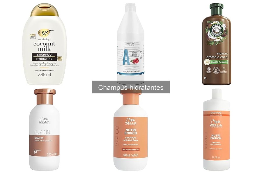 Beneficios de los Champús Hidratantes para el Cabello
