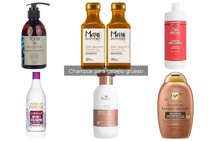 Beneficios de usar acondicionador con champús para cabello grueso