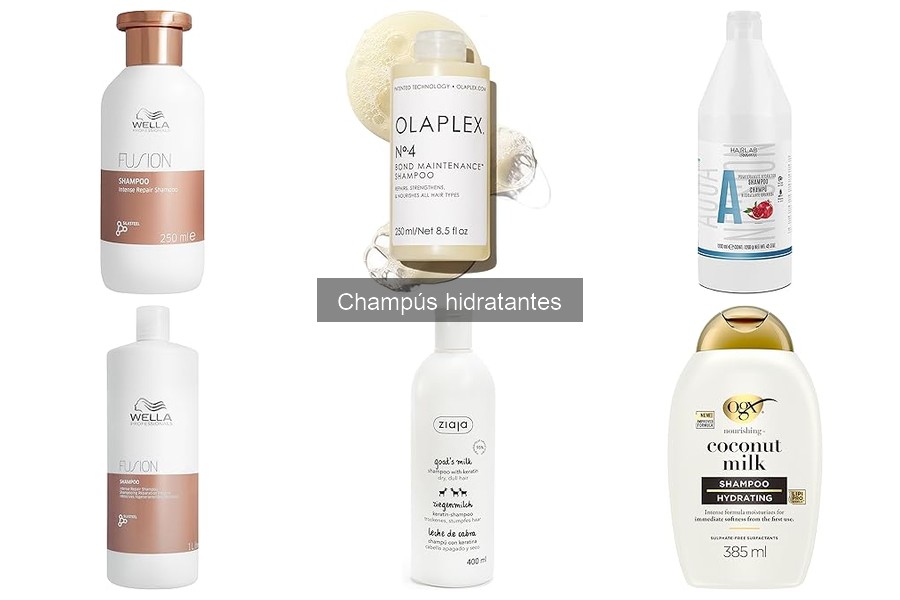 Champús hidratantes recomendados para cabello rizado