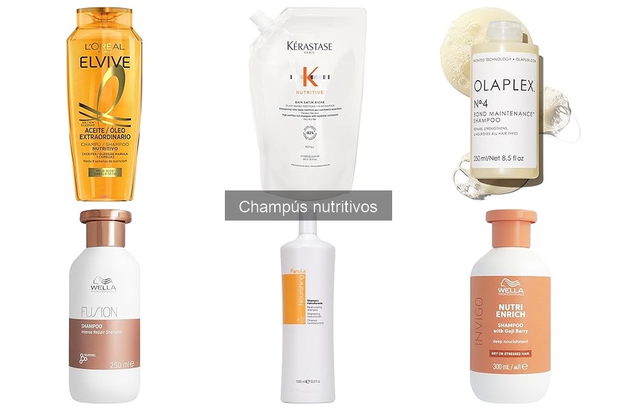 Champús Nutritivos para Cada Tipo de Cabello: Guía Práctica