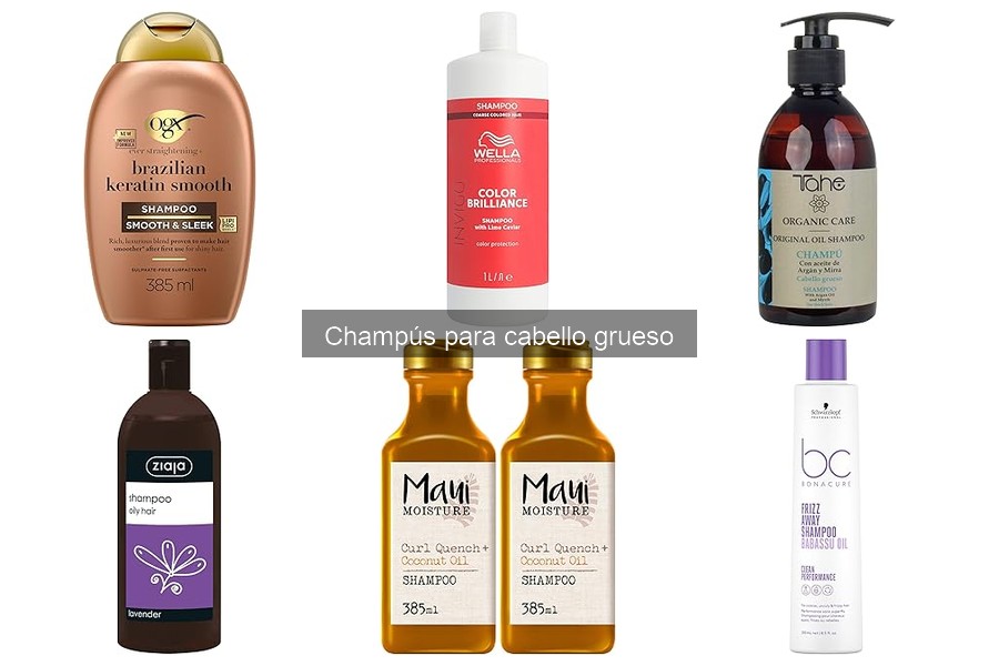 Champús para Cabello Grueso: Control del Frizz Efectivo