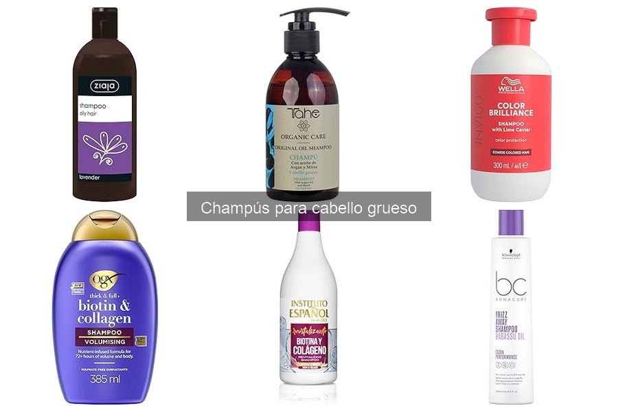Champús Recomendados por Profesionales para Cabello Grueso