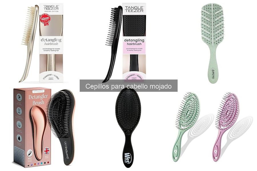 Cómo Elegir el Mejor Cepillo para Cabello Mojado