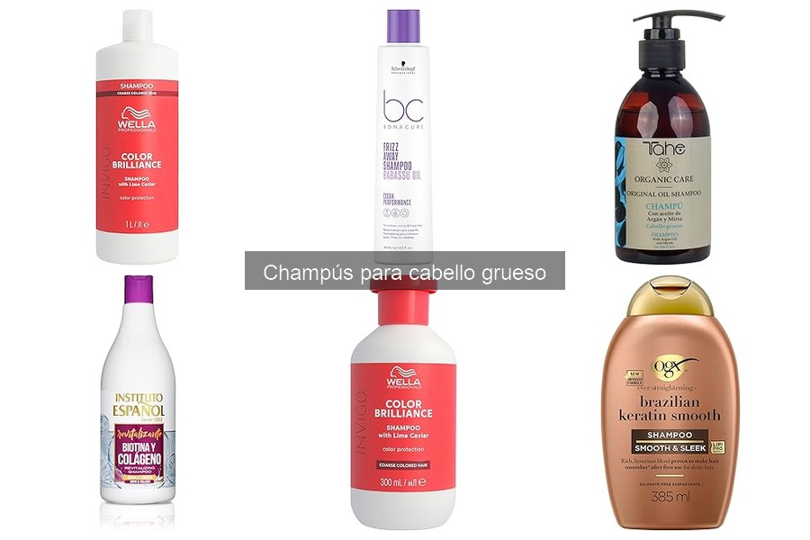 Comparativa: Champús Hidratantes vs. Nutritivos para Cabello Grueso