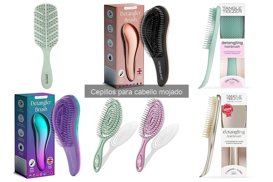 Comparativa de Cepillos para Cabello Seco y Mojado