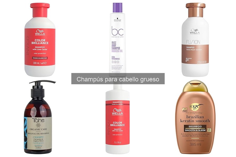 Comparativa de champús para cabello grueso: ¿Cuál elegir?