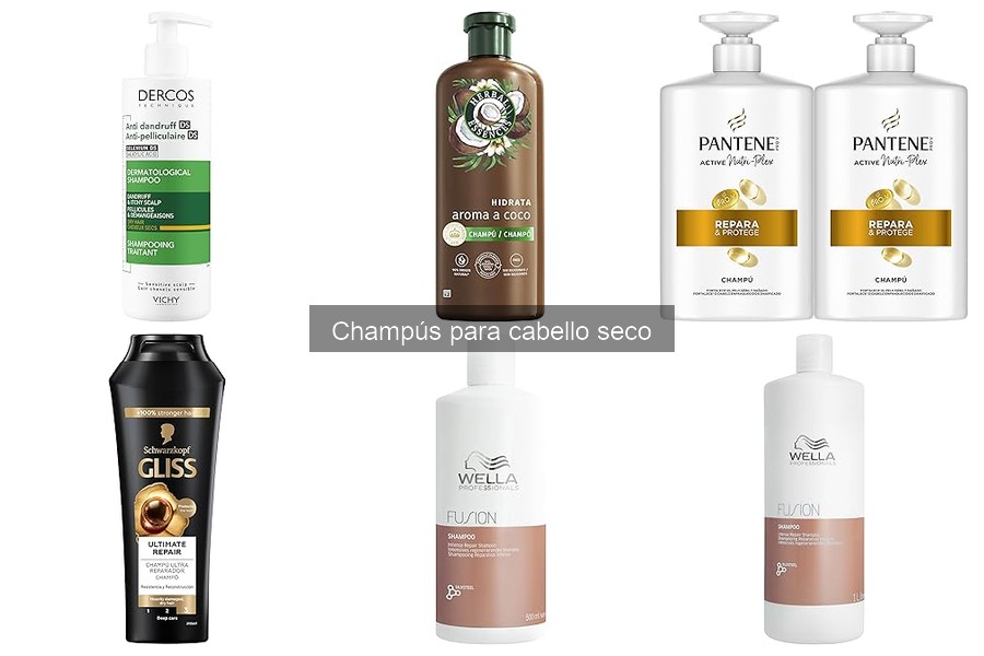 Diferencias entre champús hidratantes y para cabello seco