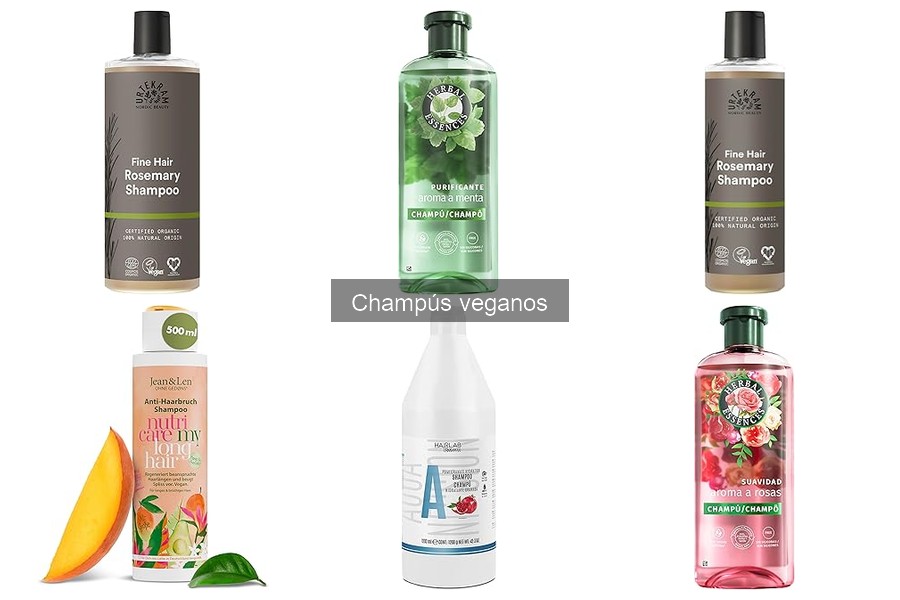 Diferencias entre Champús Veganos y Orgánicos: Guía Comparativa