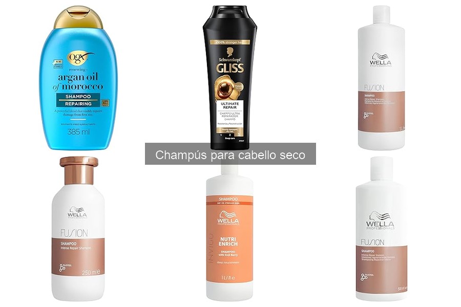 Ingredientes a Evitar en Champús para Cabello Seco