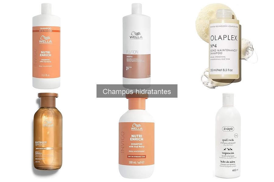 ** Ingredientes Clave en Champús Hidratantes para tu Cabello