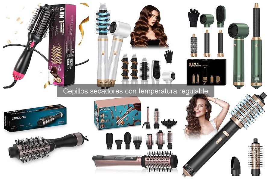 Mantenimiento de cepillos secadores con temperatura regulable