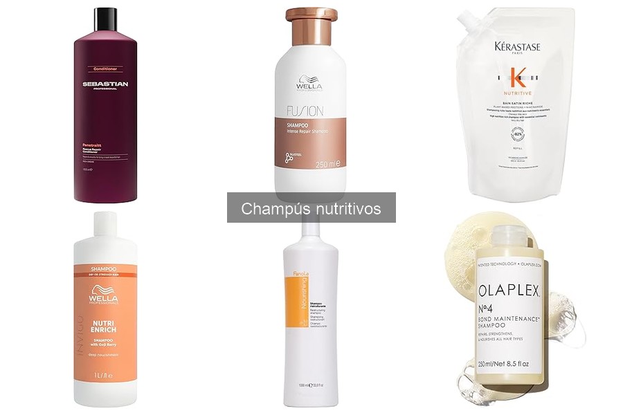 Mejores champús nutritivos para cabello seco y dañado