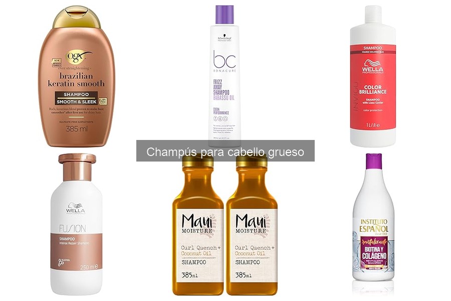 Mejores champús para cabello grueso en 2023