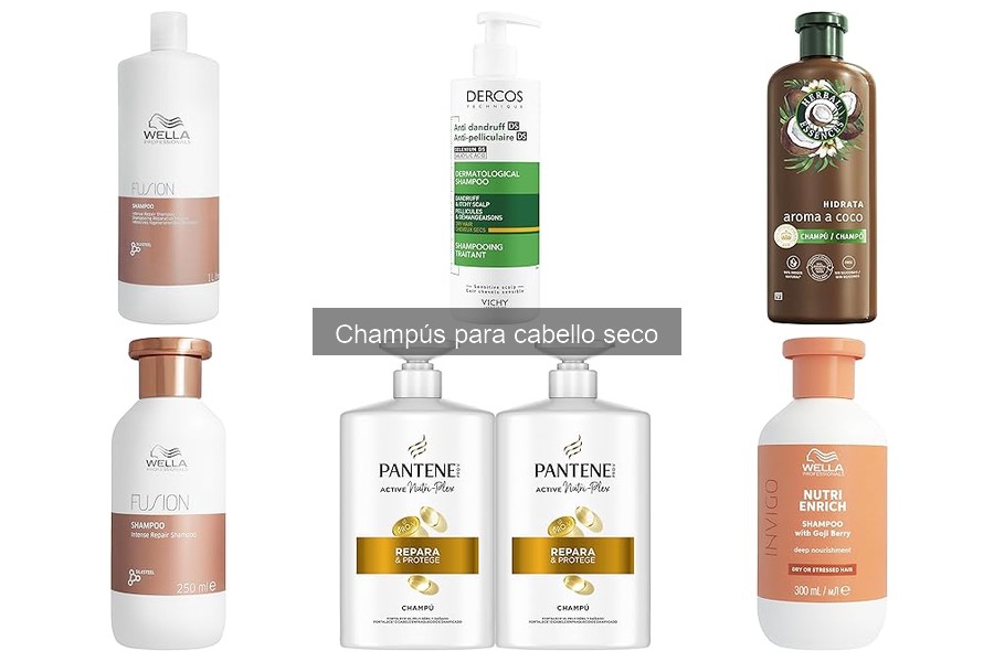 Opiniones sobre champús para cabello seco: reseñas reales