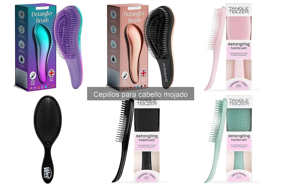 ¿Qué es un cepillo para cabello mojado? Características y diferencias