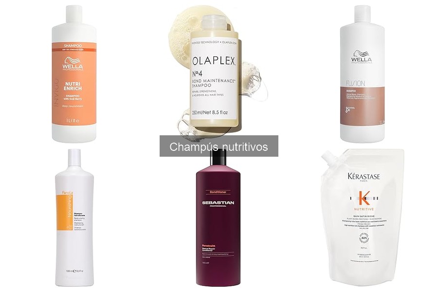 ¿Qué son los champús nutritivos y sus beneficios?